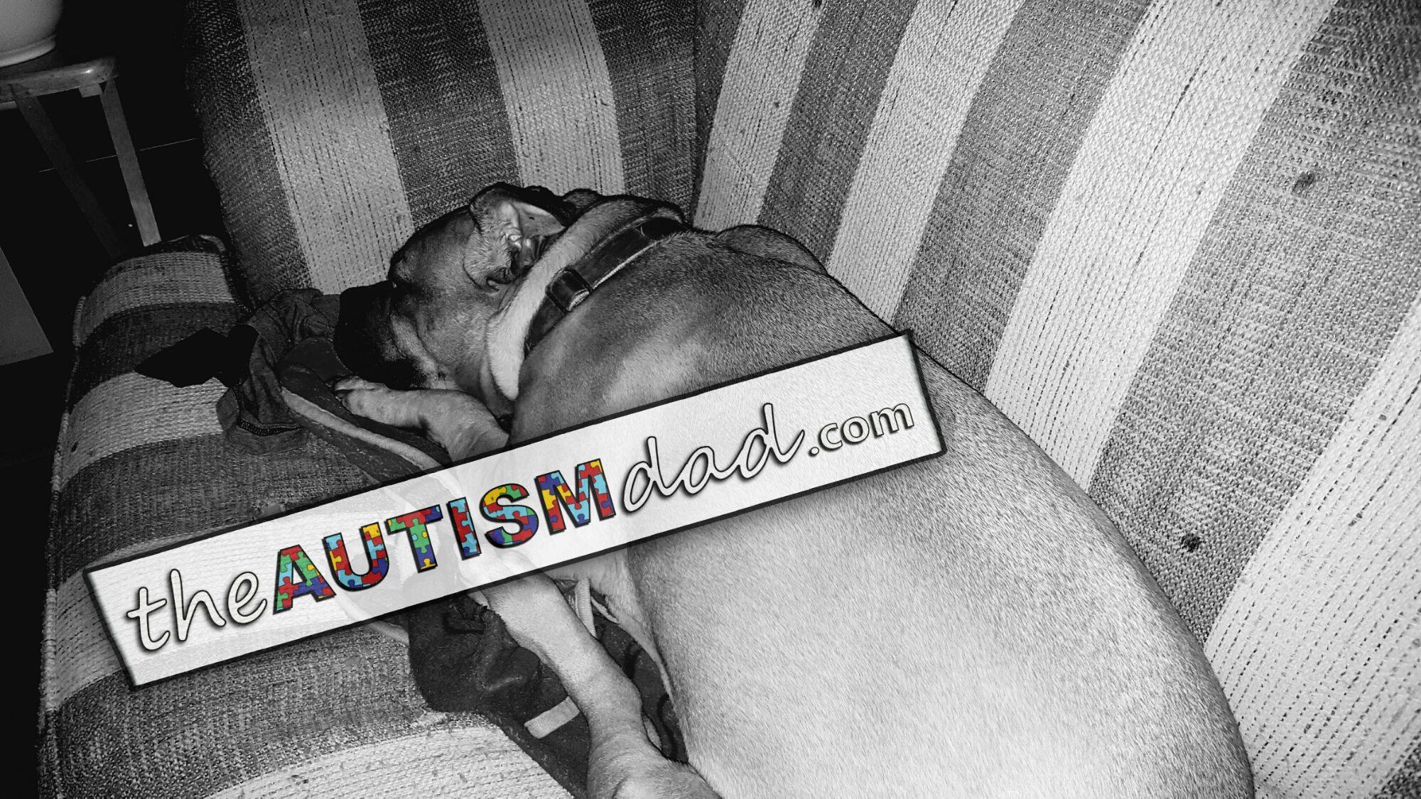 A big update on Maggie's recovery