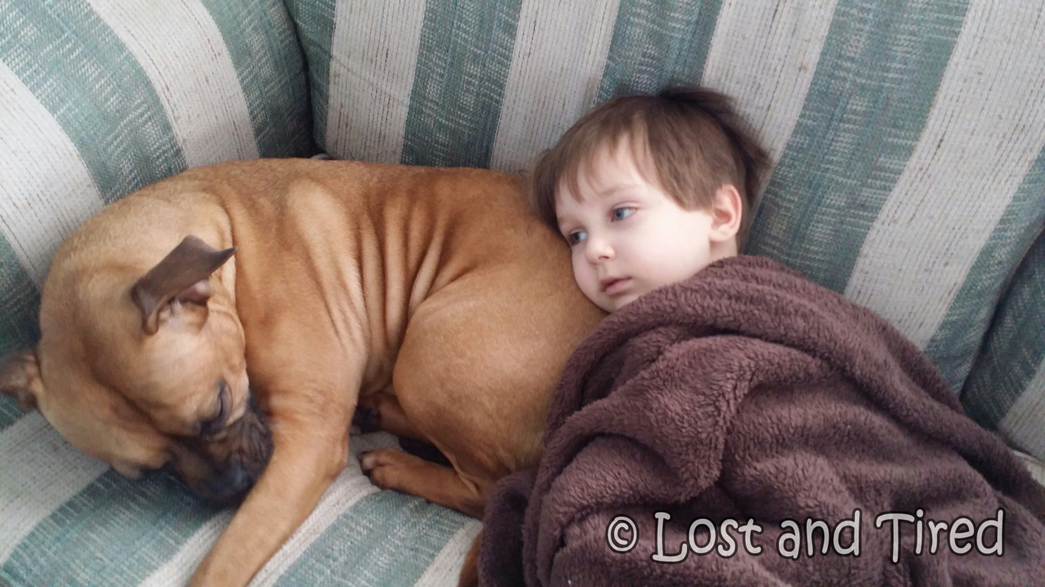 Addressing overstimulation with love and living weighted blankets