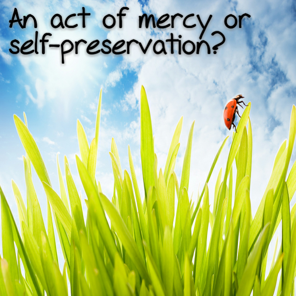 An act of mercy or self-preservation?