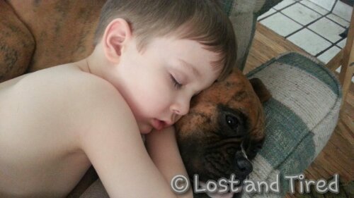 #Autism, a boy and his dog