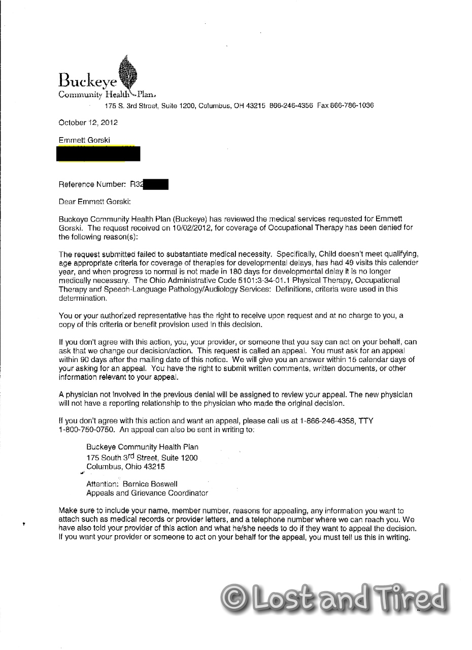 #Autistic kids don't really need therapy, do they?