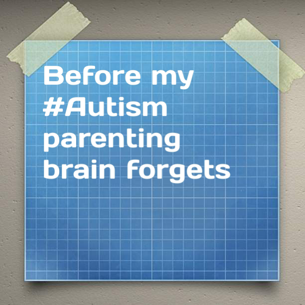 Before my #Autism parenting brain forgets