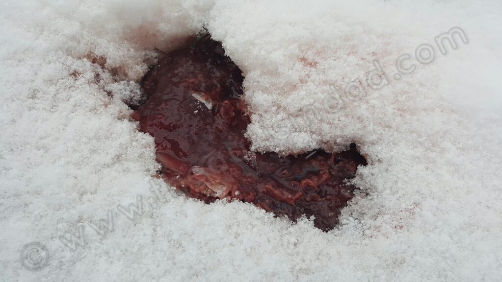 Can you tell me what the hell this is?