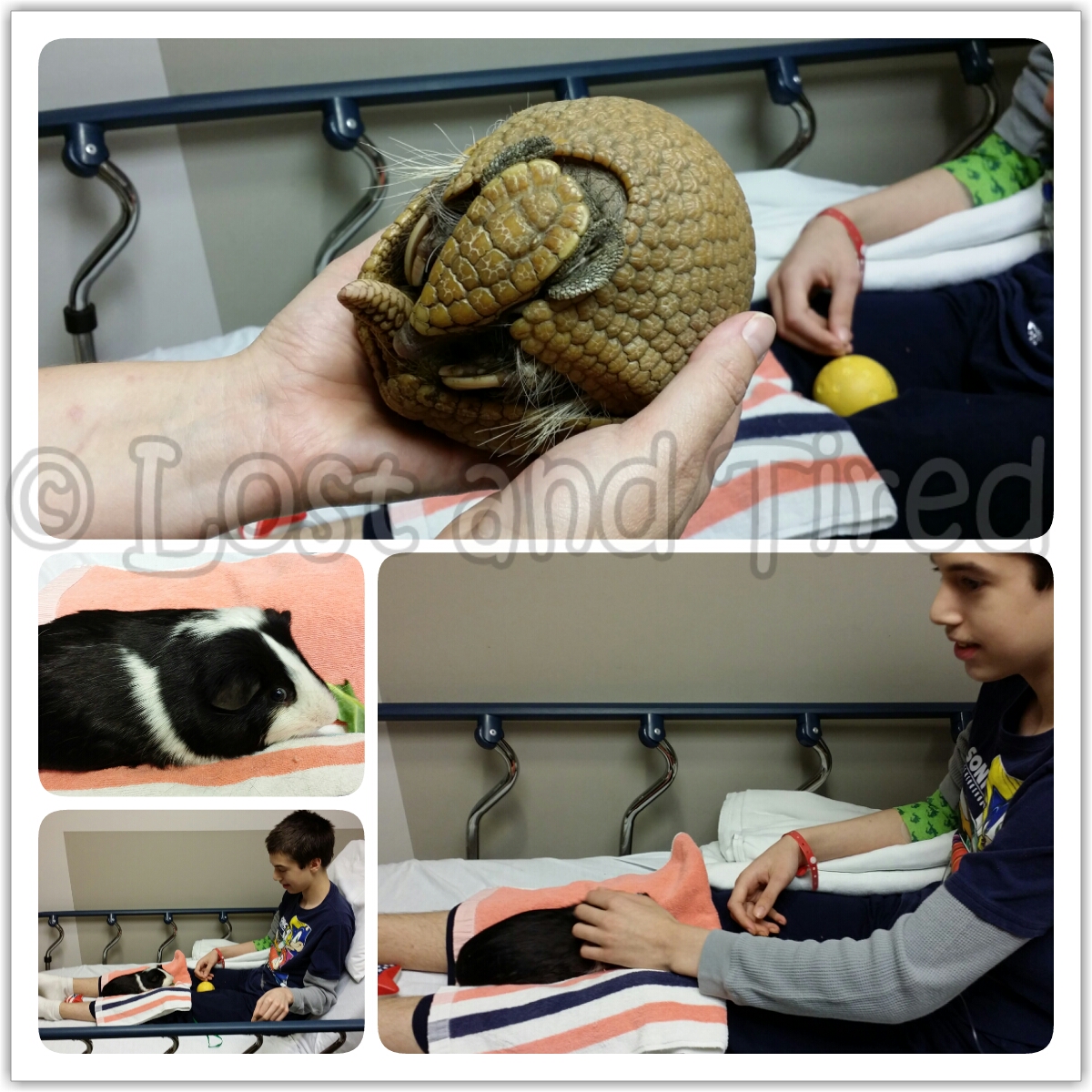 Check it out, The Akron Zoo visited Gavin today