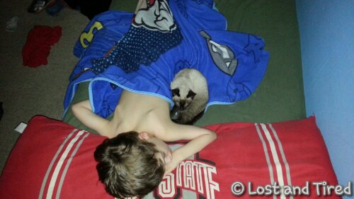 Companionship for a child with #autism