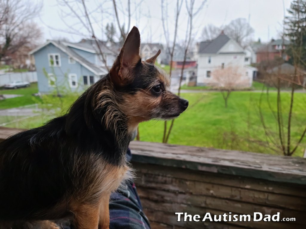 Day 42: We're still here