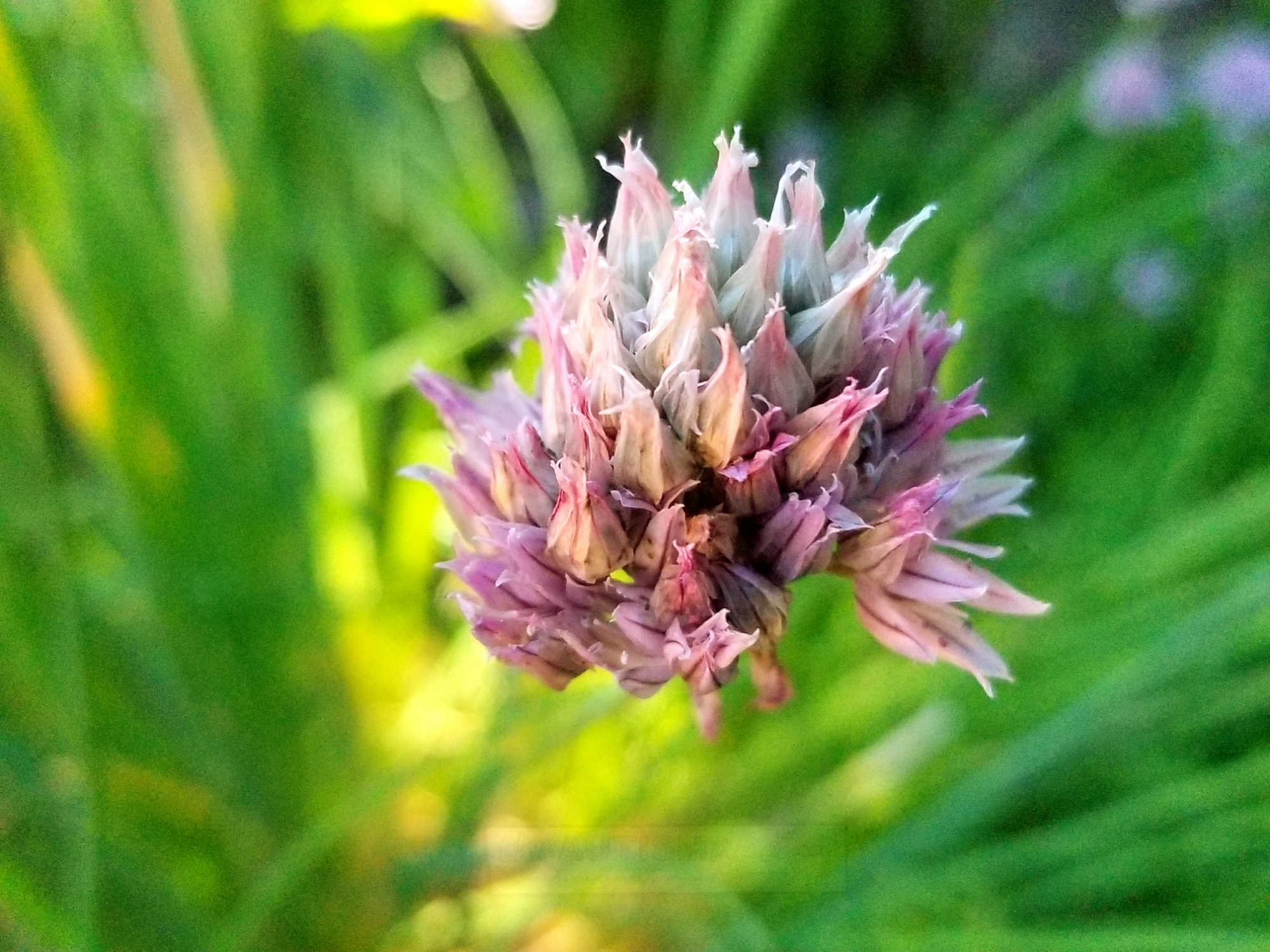 Dealing with the stress of being an #Autism Parent