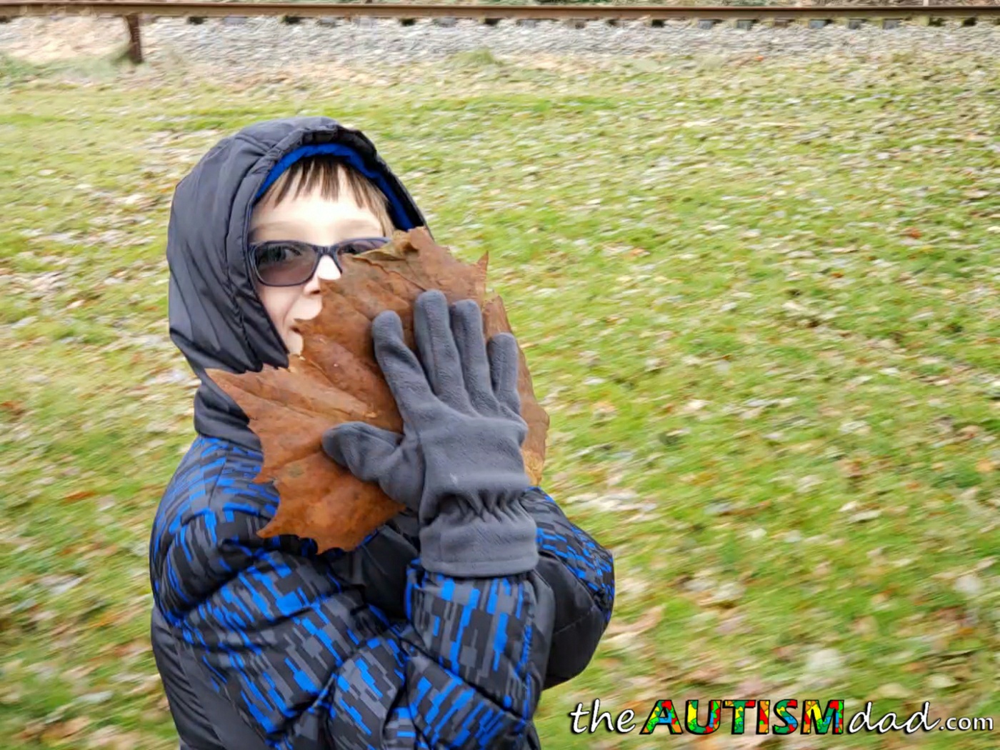 Despite it being a difficult day, here are a few things I'm thankful for