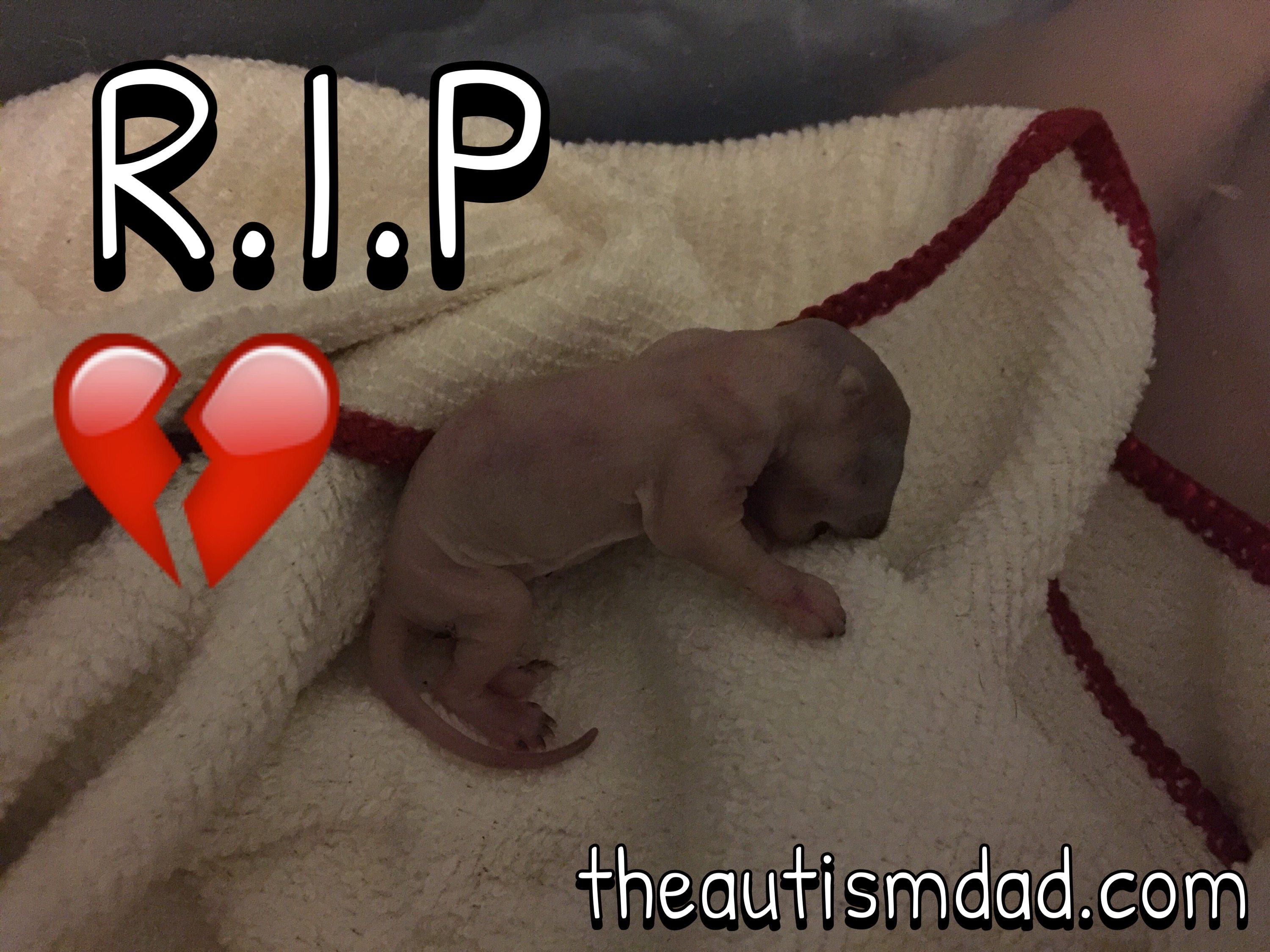 Elliott cried himself to sleep tonight :(