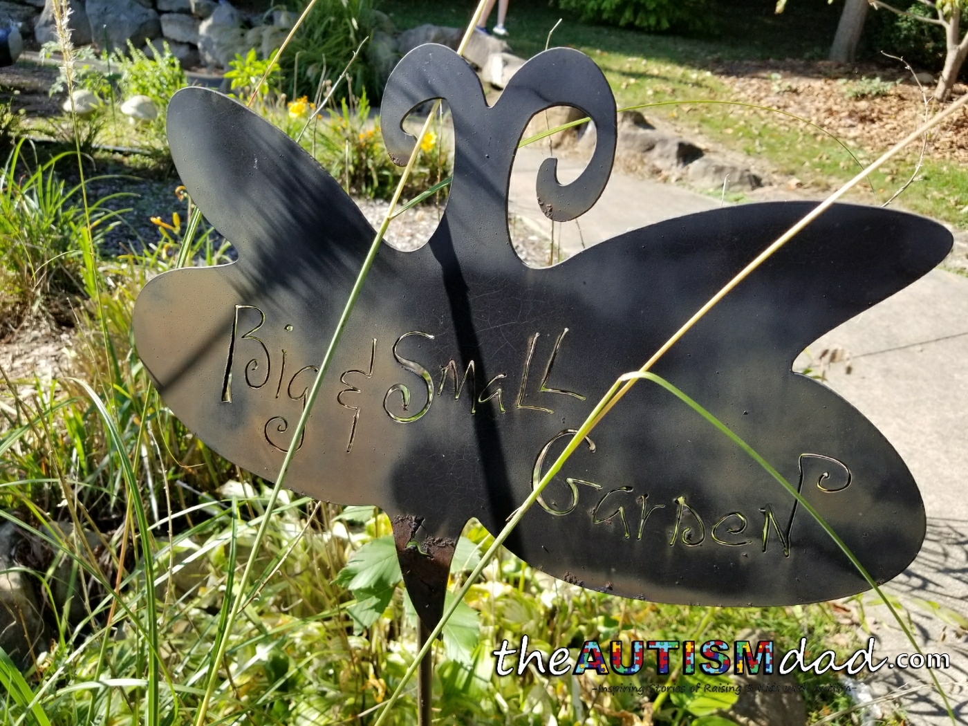 Fall at the Canton Garden Center 10/14/2014 (Gallery)