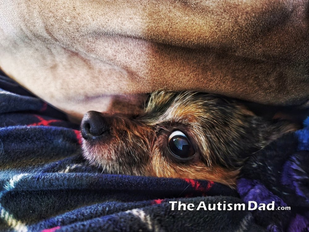 Fingers crossed that I sleep tonight