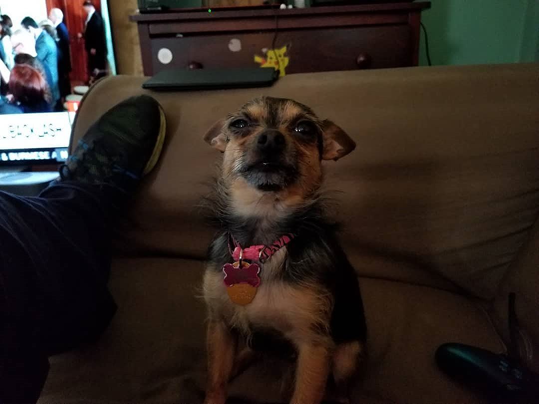 Have you ever seen anyone look more guilty before?