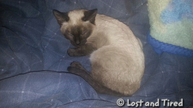 Having the crap scared out of you, literally