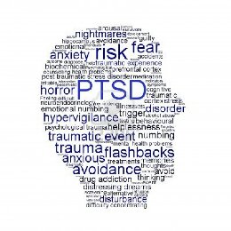 Holy crap, did that just happen?