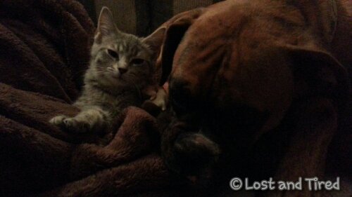 Hope this makes you smile