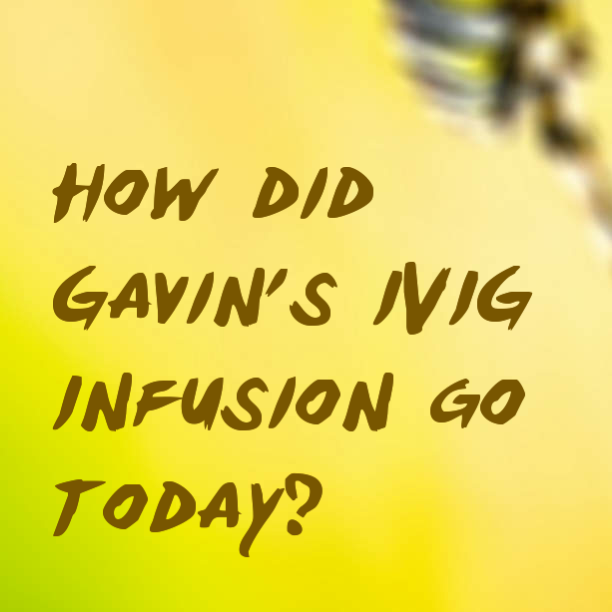 How did Gavin's IVIG Infusion go today?