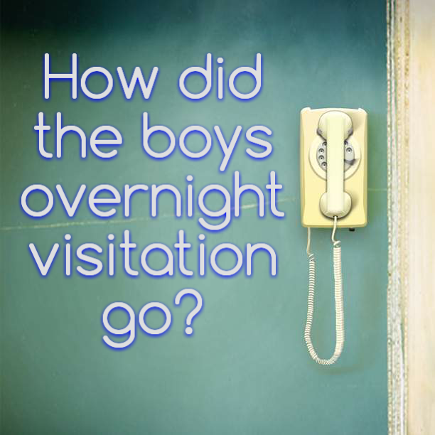 How did the boys overnight visitation go?