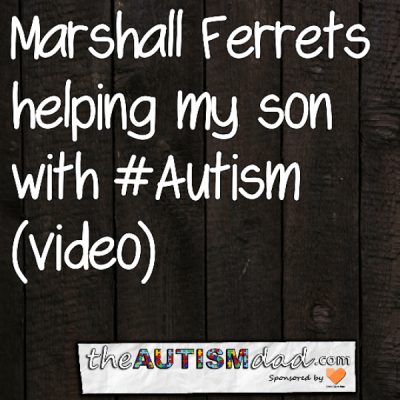 How @MarshallFerrets helping my son with #Autism (video)