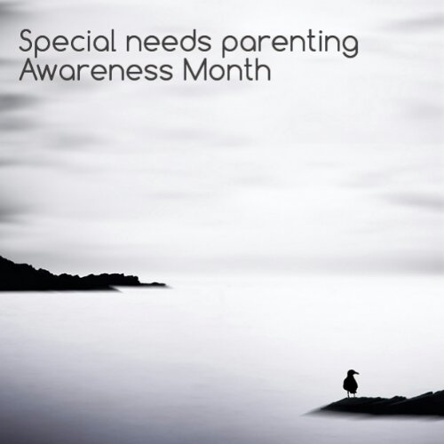 How would you feel about a Special Needs Parenting Awareness Month?