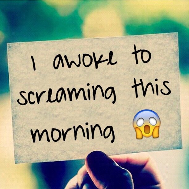 I awoke to screaming this morning