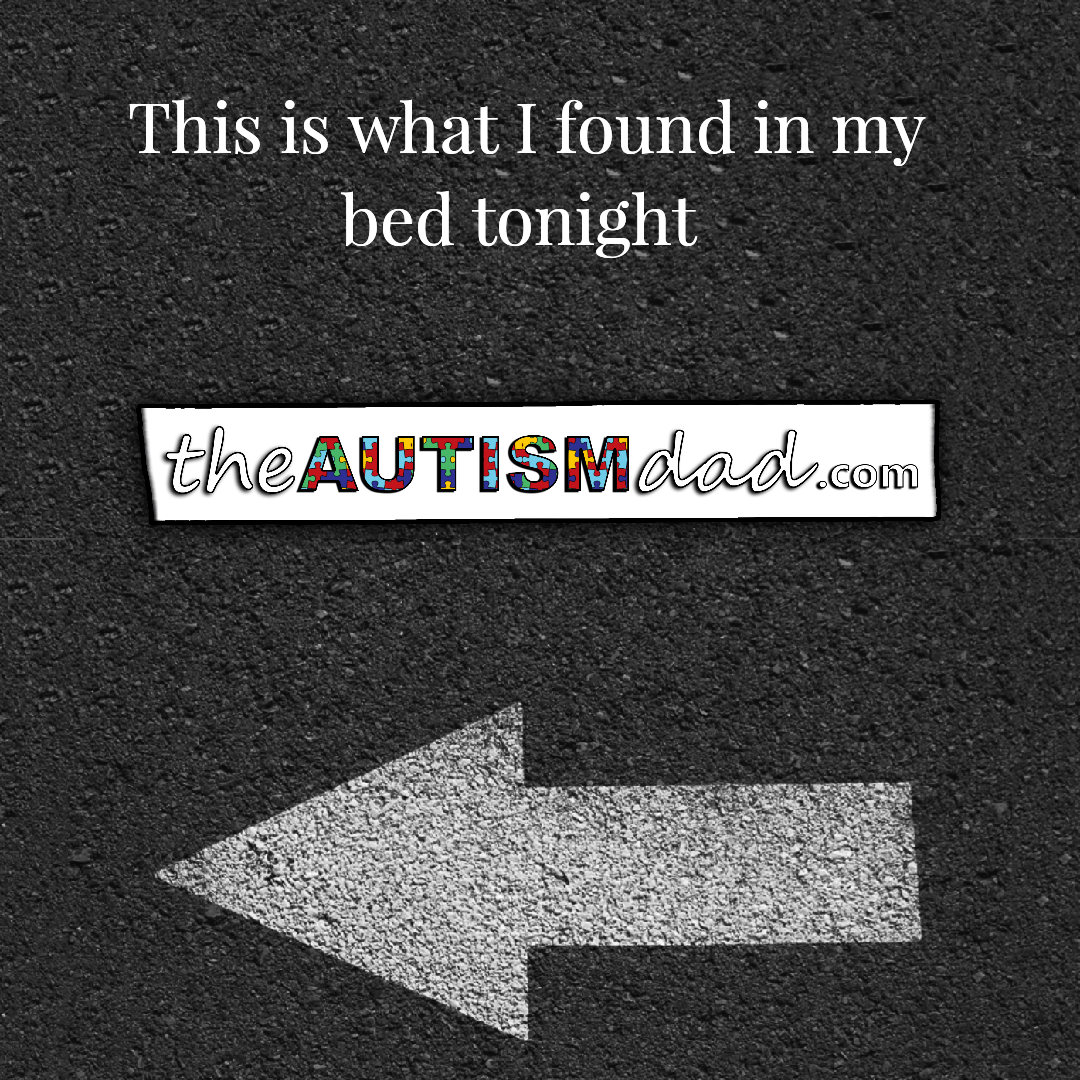 I found this tonight when I went to climb into my bed