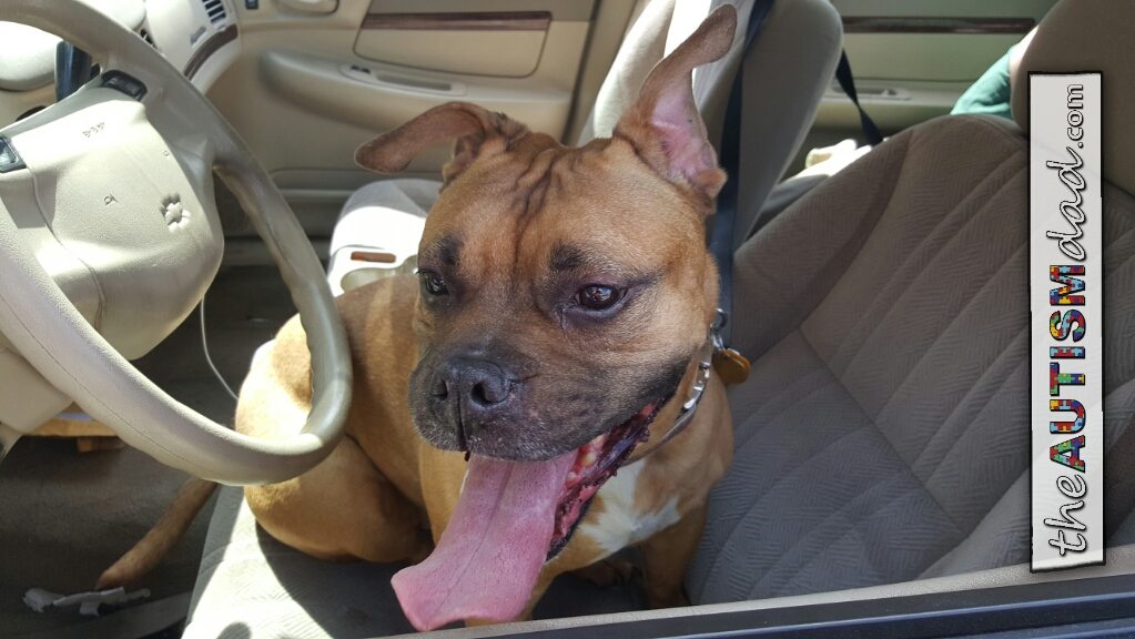 I have some really good news about Maggie