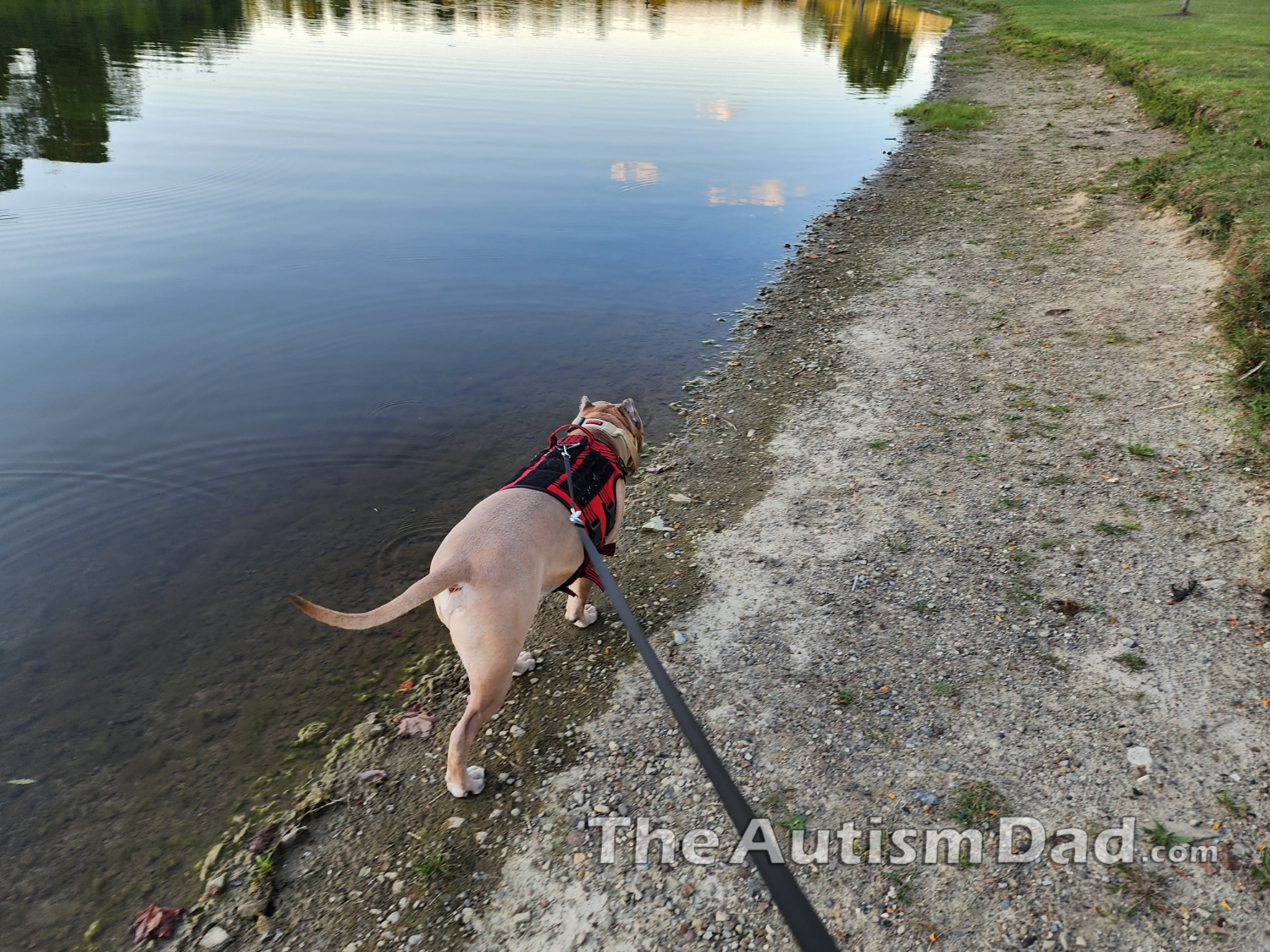 I haven't done this in forever but that needs to change