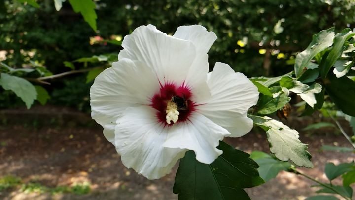 I was photo bombed while taking this video