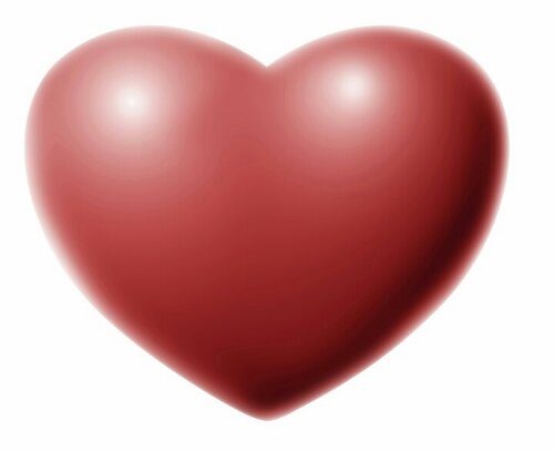 I'm getting Gavin into the cardiologist ASAP