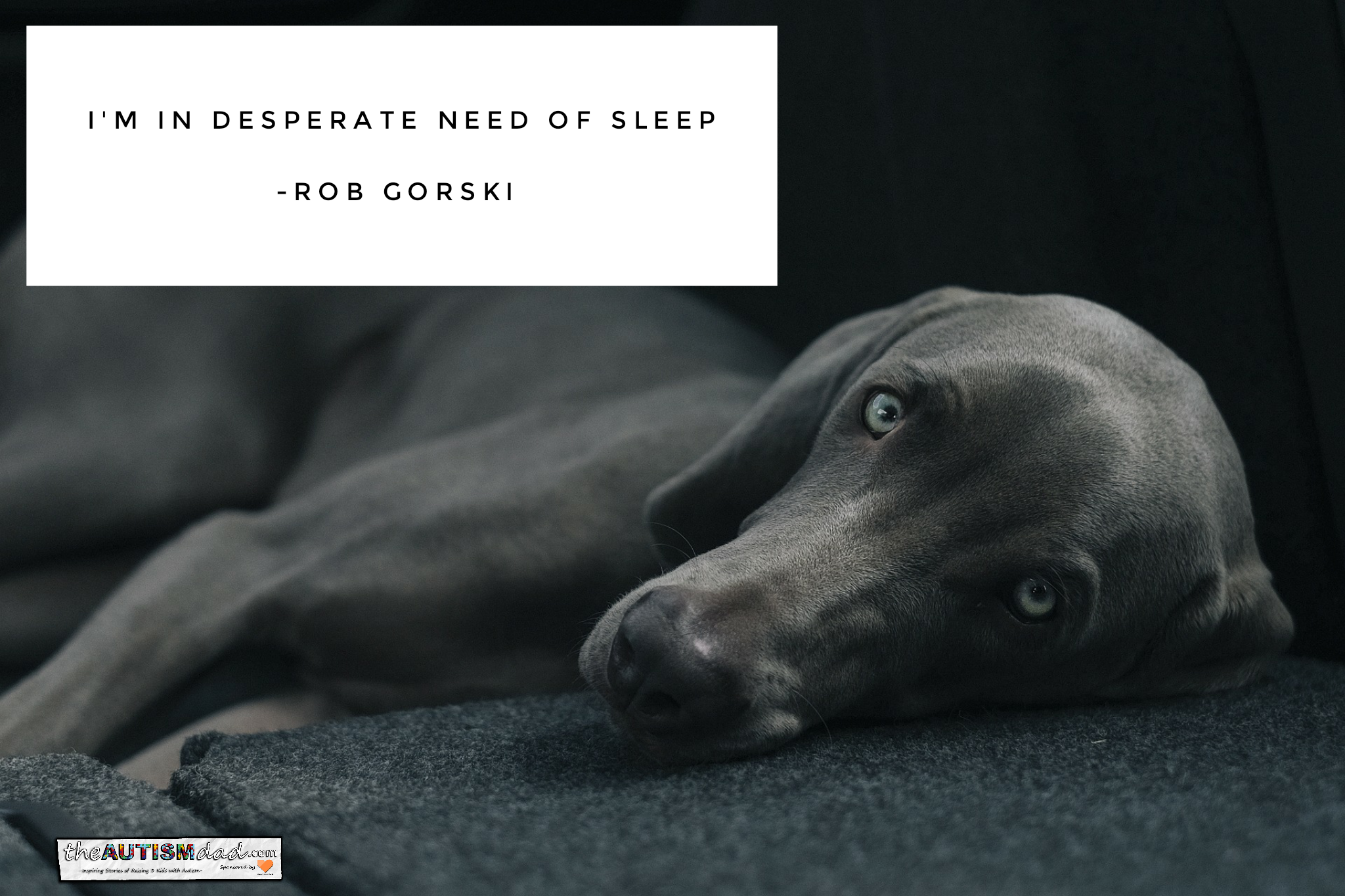 I'm in desperate need of sleep