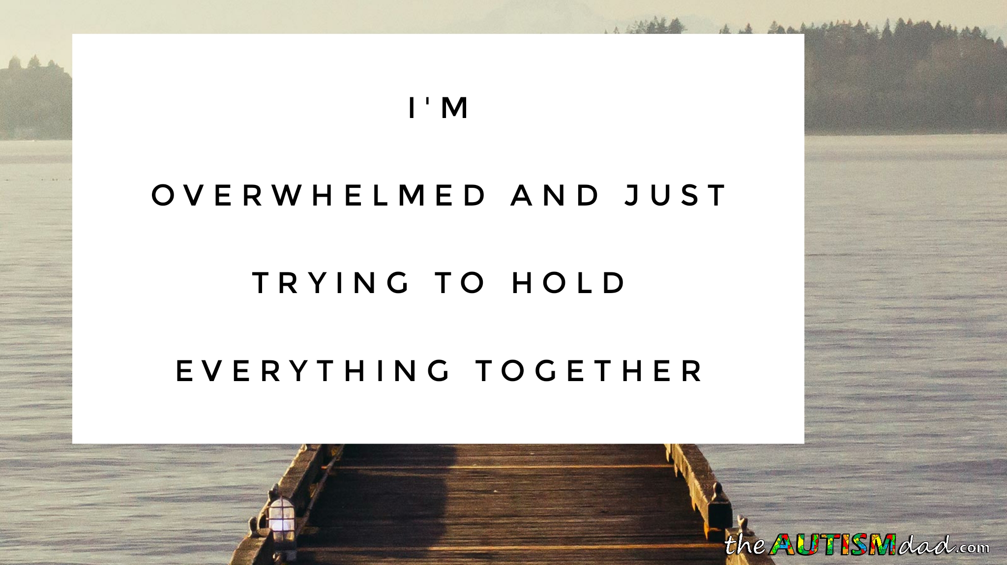 I'm overwhelmed and just trying to hold everything together