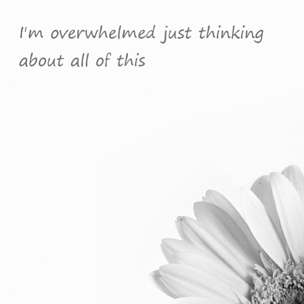 I'm overwhelmed just thinking about all of this