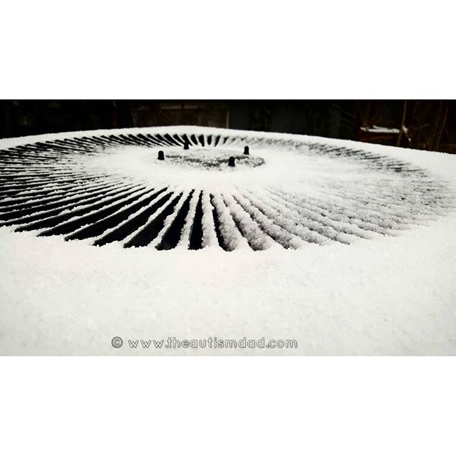 It appears that the weather has finally decided to change