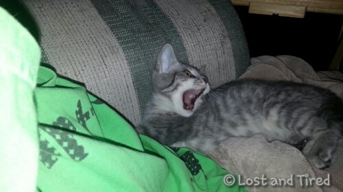 It doesn't matter how you look on the outside......