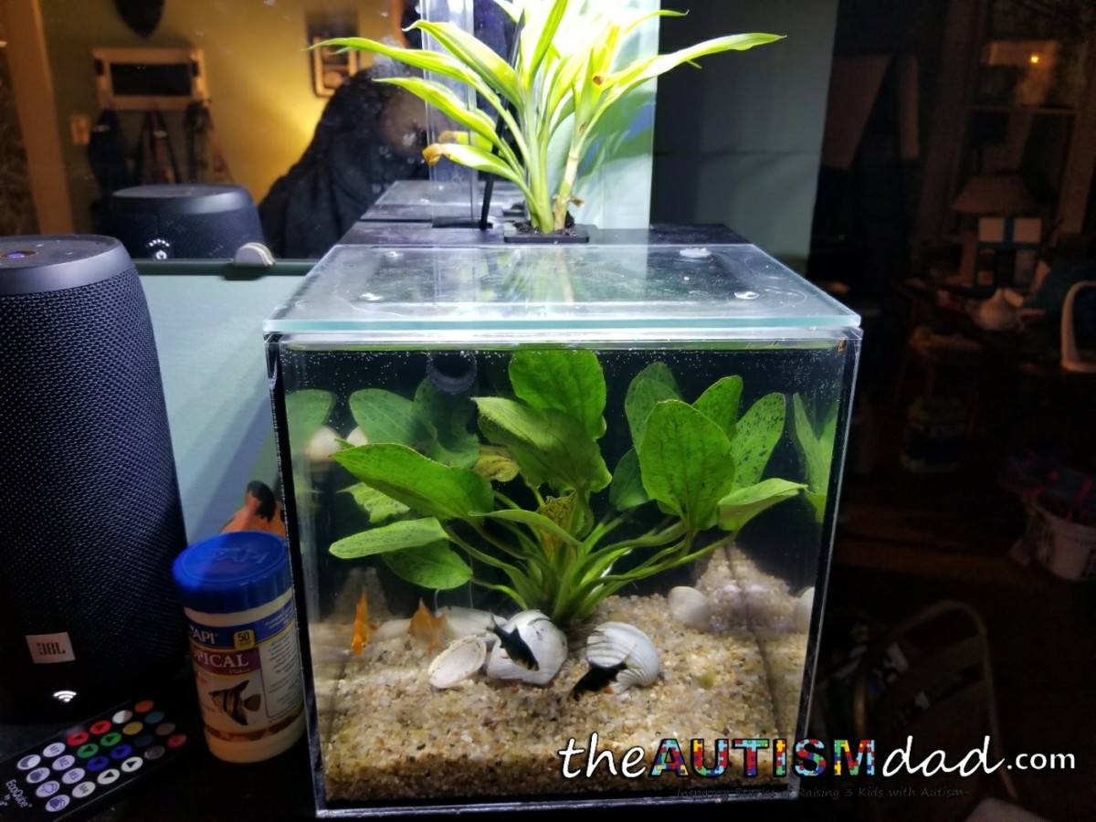 It was a weird day but I finished an awesome project (Check out the pictures)