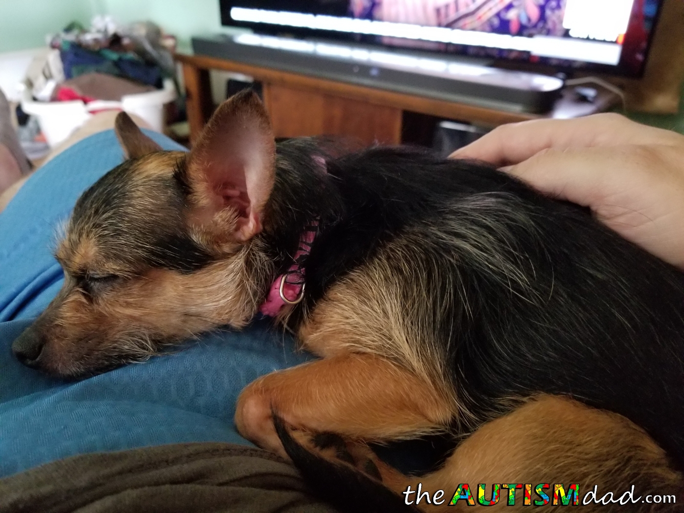 It's been a really nice afternoon and here's how we spent it