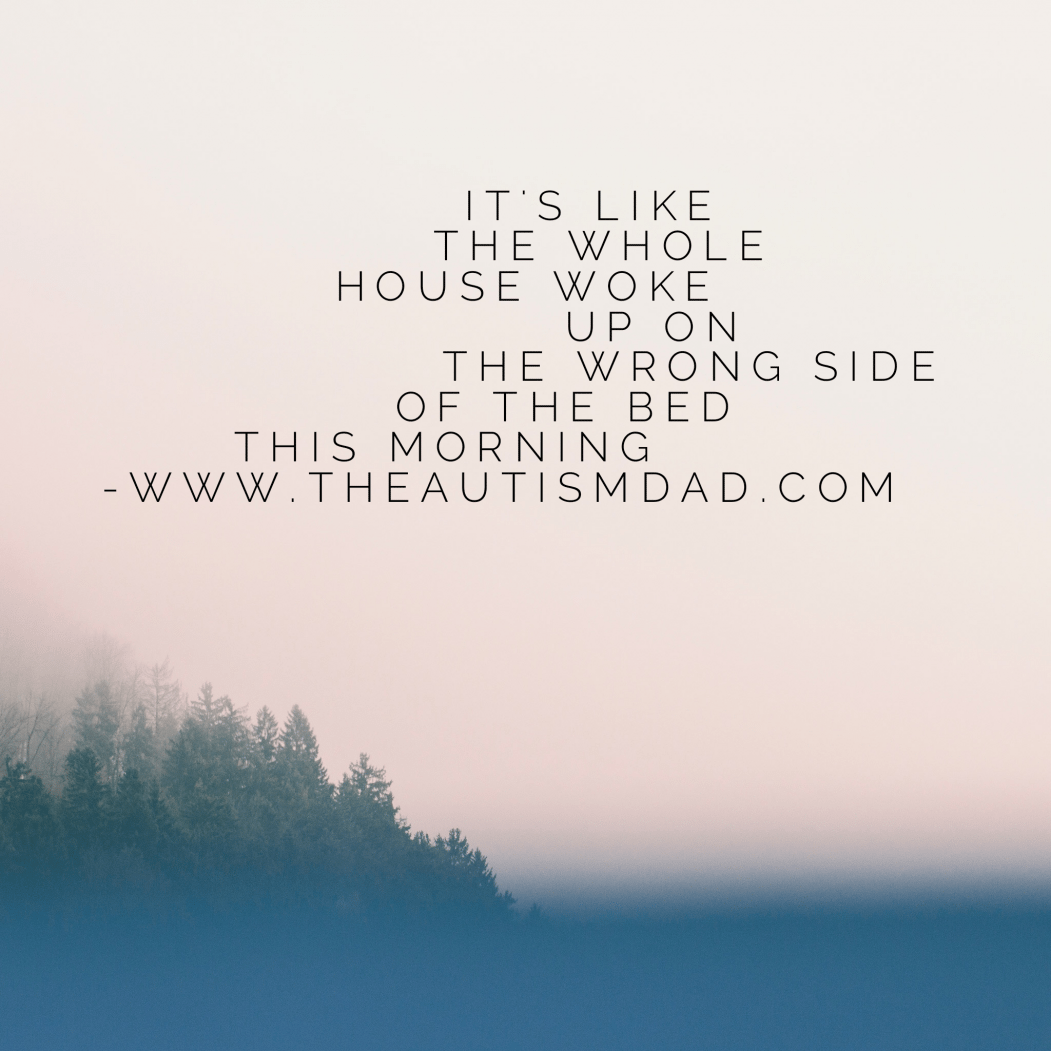 It's like the whole house woke up on the wrong side of the bed this morning