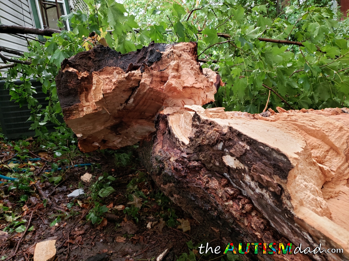 It's pretty bad but thank God no one was hurt