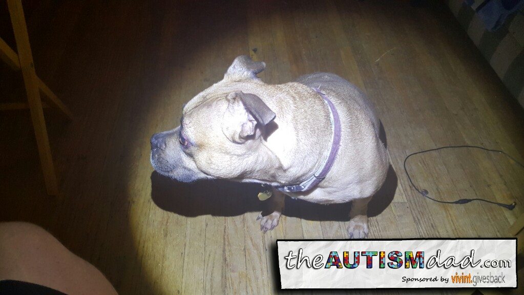 Maggie just got into a fight with a massive raccoon