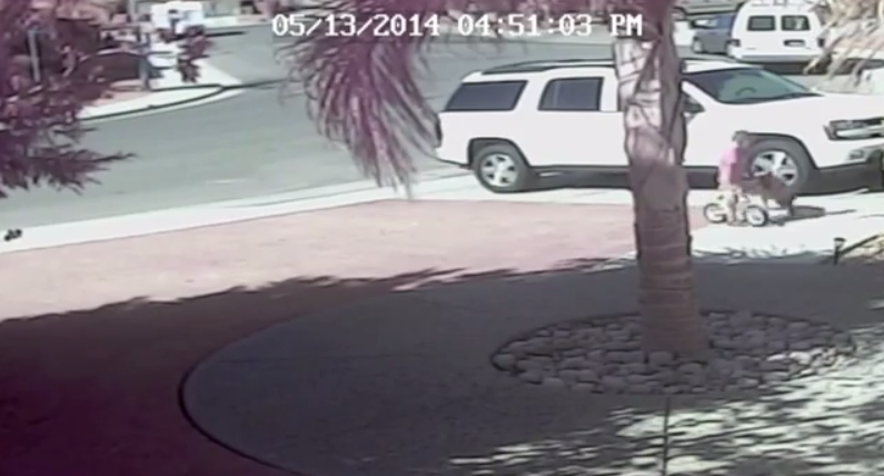 OMG MUST SEE - You won't believe who rescues this little boy from a vicious dog attack