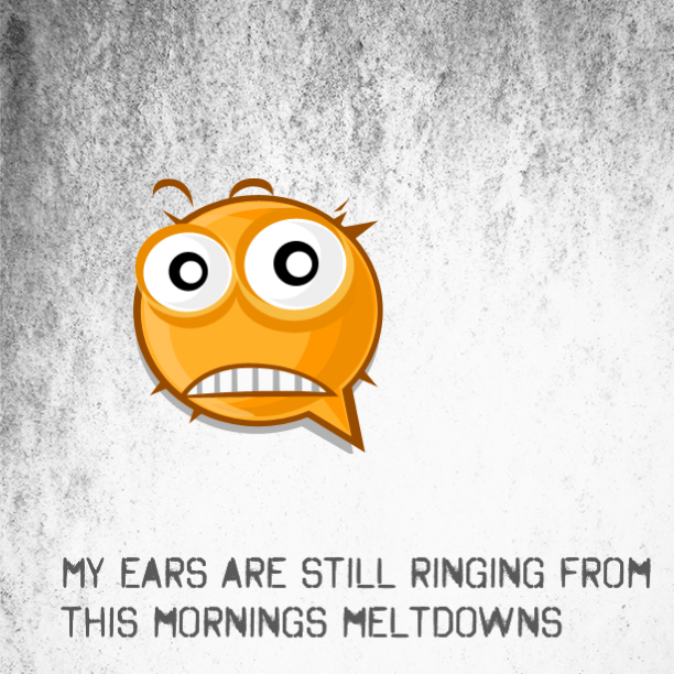 My ears are still ringing from this mornings meltdowns