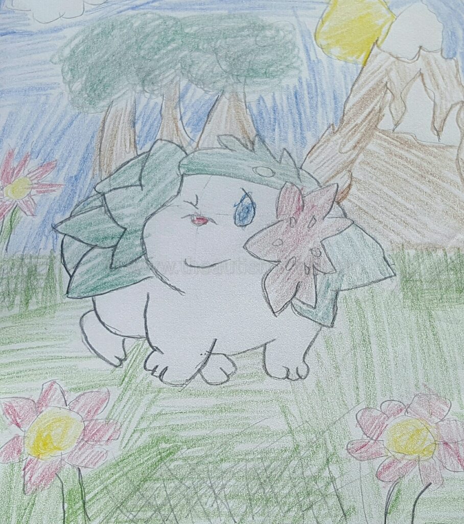 My teen with #Autism shares 10 pictures he's sketched (Series 2)