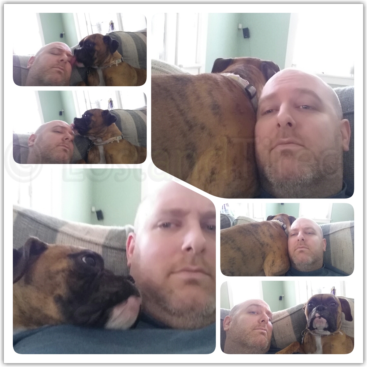 Our pseudo service dog Bella has been moody this weekend