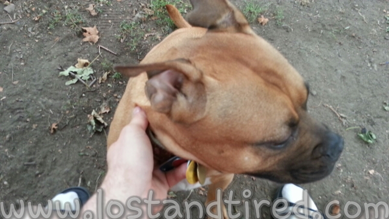 People aren't the only ones scarred by the past