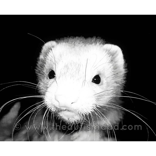 Photo of the Day: Someone was intrigued by the camera