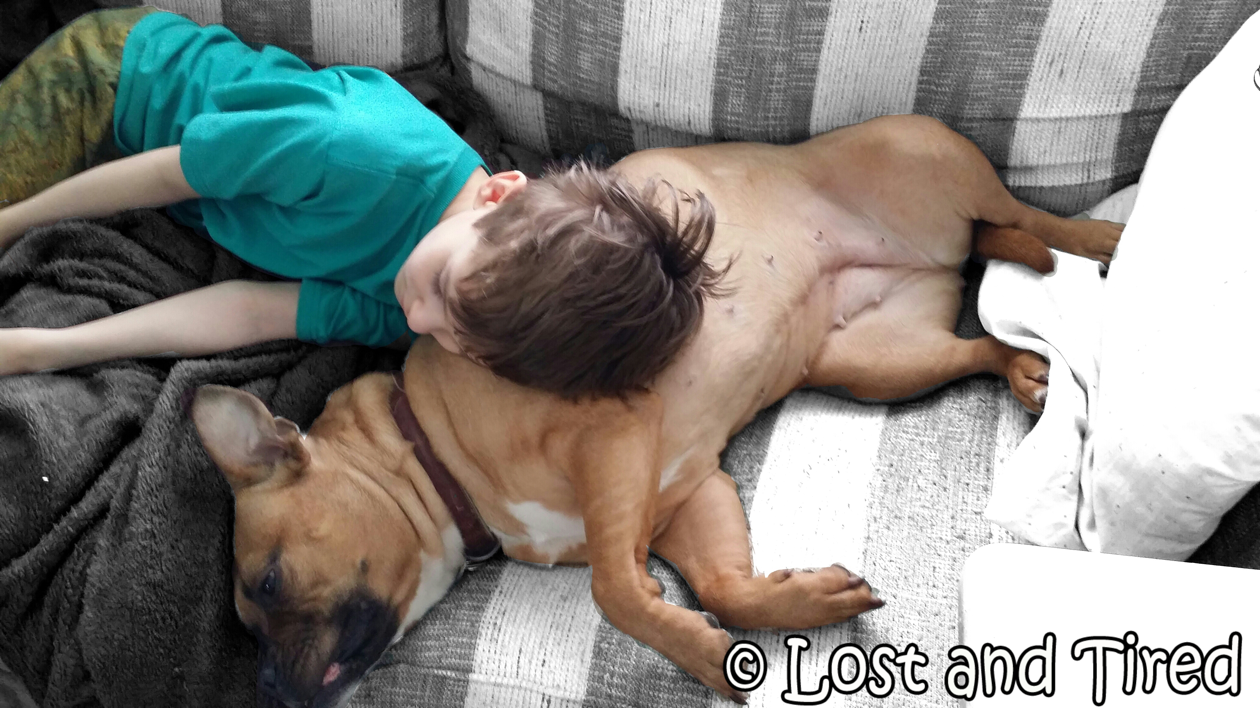 #Pitbulls and #Autism - Quashing the Stereotypes