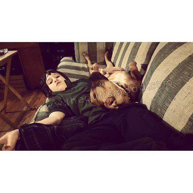 Pitbulls are so ferocious aren't they Autism