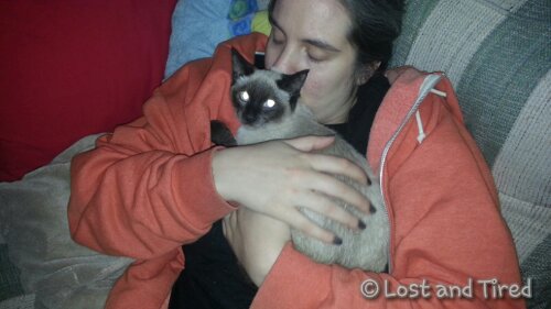 Sammy has a new home :-)