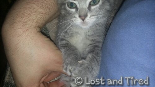 Shhhhh...... Don't tell anyone