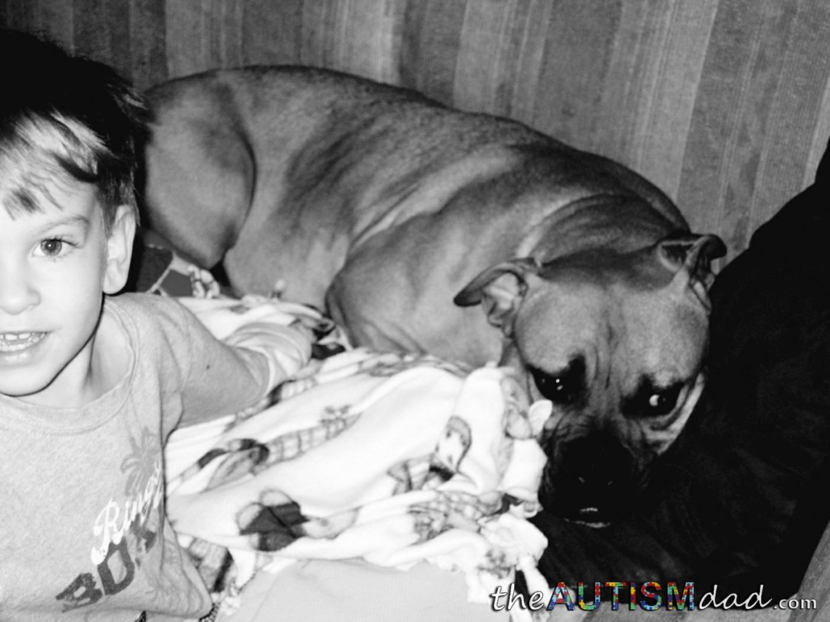 Some sad news about our dog